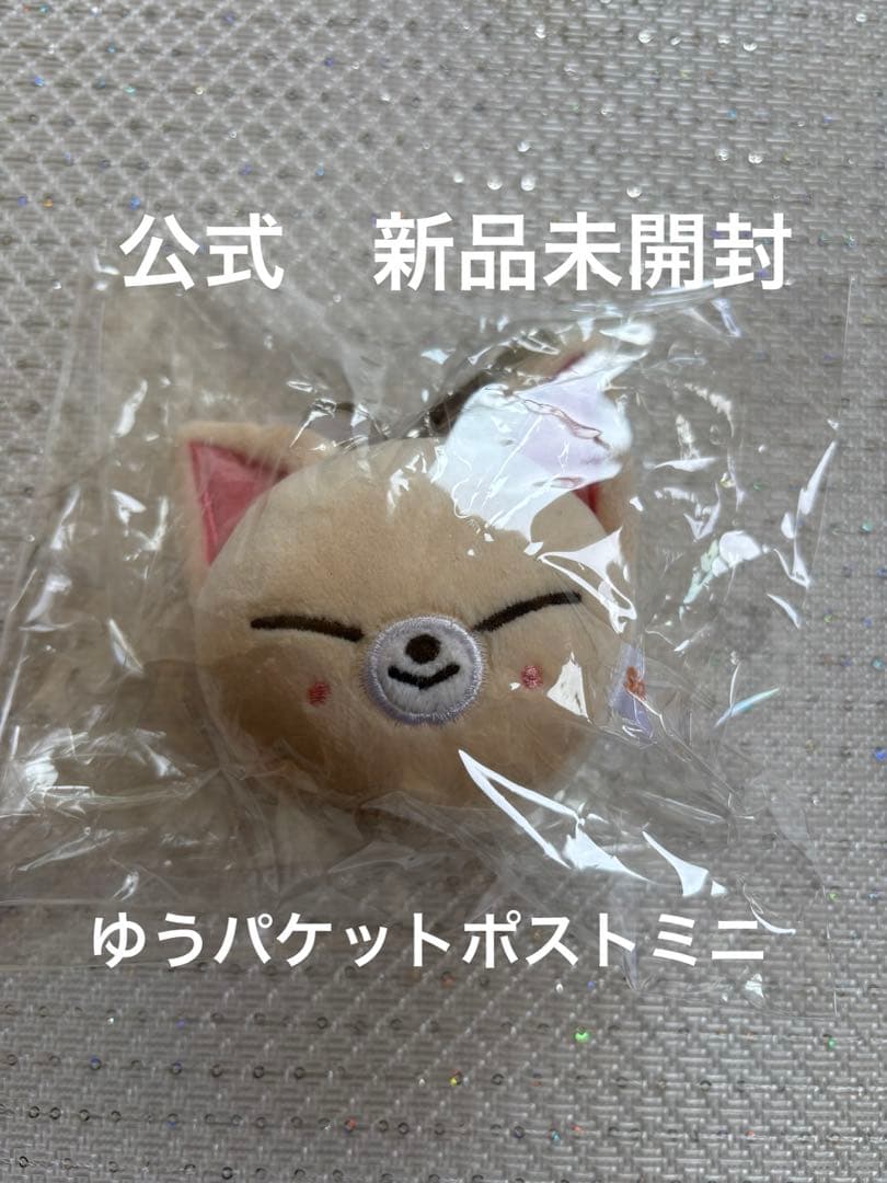 

[USED] Ien Mini Face Key Ring Foxshiny Stray Kids SKZOO