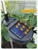 Dandelion Solar Lights for Outdoor Garden & Balcony Decoration