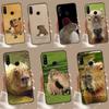 Animal Capybara Case For Huawei Nova Y70 Y60 Y61 Y91 Y90 10 9 SE 5T 7i 8i 11i 11 P20 P40 Lite P30 Pro Cover