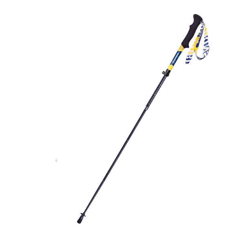 Robinson Telescopic Folding Trekking Pole
