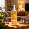Multi-Scene Air Freshener Spray 60ml Citrus Scented Odor Eliminator for Home Car Office Bathroom and Other Indoor Spaces