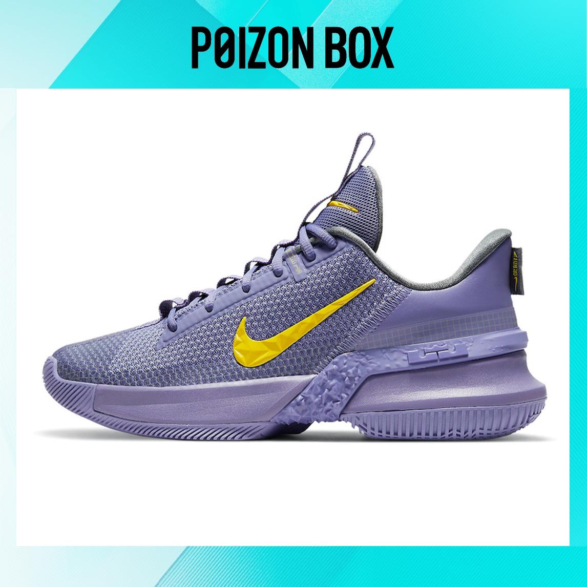 

кроссовки Nike LeBron Ambassador 13 Lakers CQ9329-500