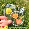 20PCS Specimens Handmade Plastic Wrap Sticker Transparent Artistic Frame Type Handmade DIY Bookmarks Leaves Dried Flowers Plants
