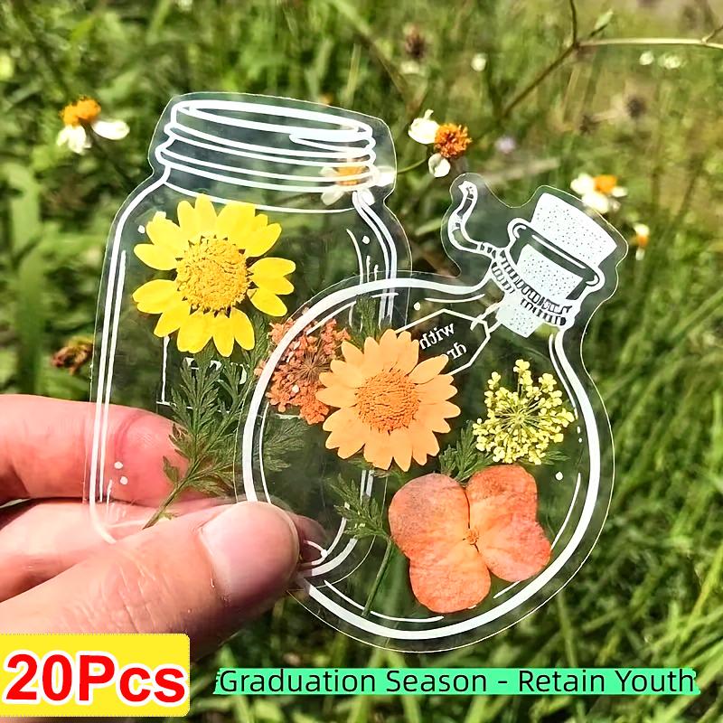 20PCS Specimens Handmade Plastic Wrap Sticker Transparent Artistic Frame Type Handmade DIY Bookmarks Leaves Dried Flowers Plants