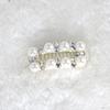 Maltese Rhinestone Puppy & Kitten Hair Clip - Universal Handmade Pet Accessory