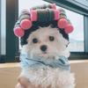 Pet Hat Fastener Tape Design Adorable Pet Cat Dog Headgear Soft Comfortable Lightweight Party Hat Pet Supply