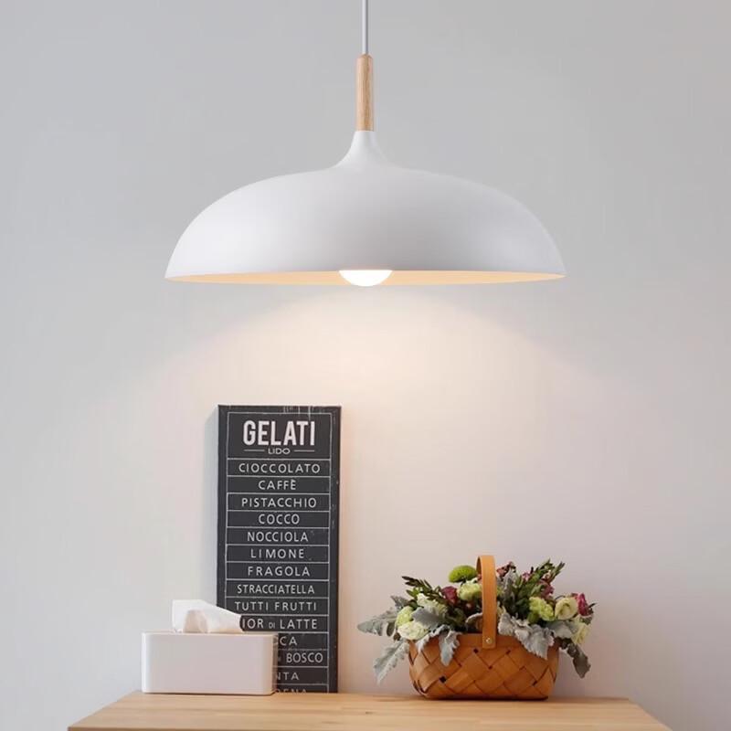 Oeny Modern Iron Pendant Lamp