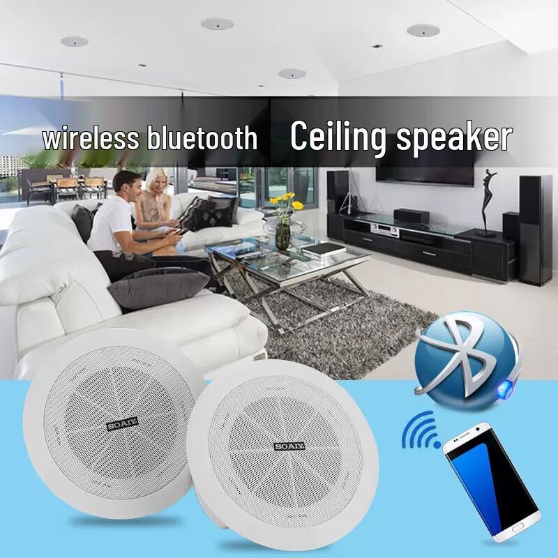 Soaiy SA-X1 Bluetooth Ceiling Speaker System