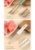 Stainless Steel Multi-Functional Watermelon Slicer & Fruit Divider