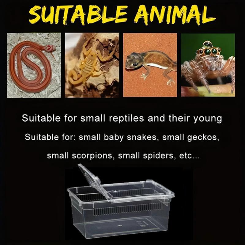 Premium Reptile Feeding Box For Small Pet Lizards Tortoises Snakes