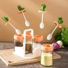 Cactus Kitchen Season Tank Salt Tank Flavor Box Seasoning Bottle Combination Set Seasoning Bottle