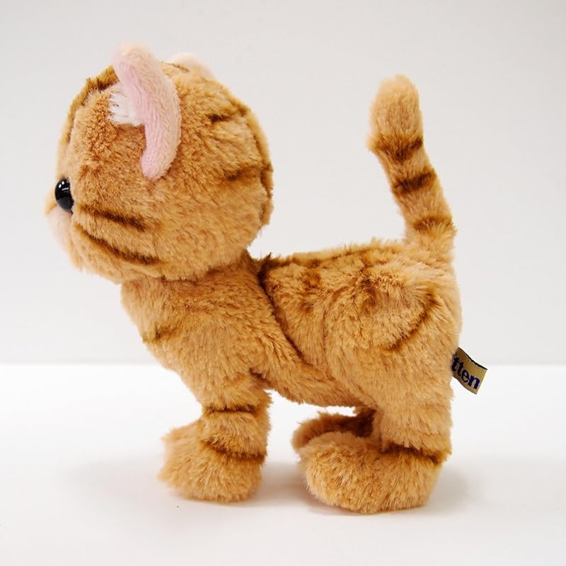 Sun Lemon Kitten American Shorthair Brown Plush Animal Cat P-7531 14.9 X 16.3 X 7.2 Cm