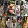 Haustier Katze Lustige Memes Handyhülle Für Redmi 13C 14C Note 13 14 Pro 5G Plus 12 12C 10 10A 10C 9 9A 9C 9T 8 8A K70 Pro Xiaomi Hülle S