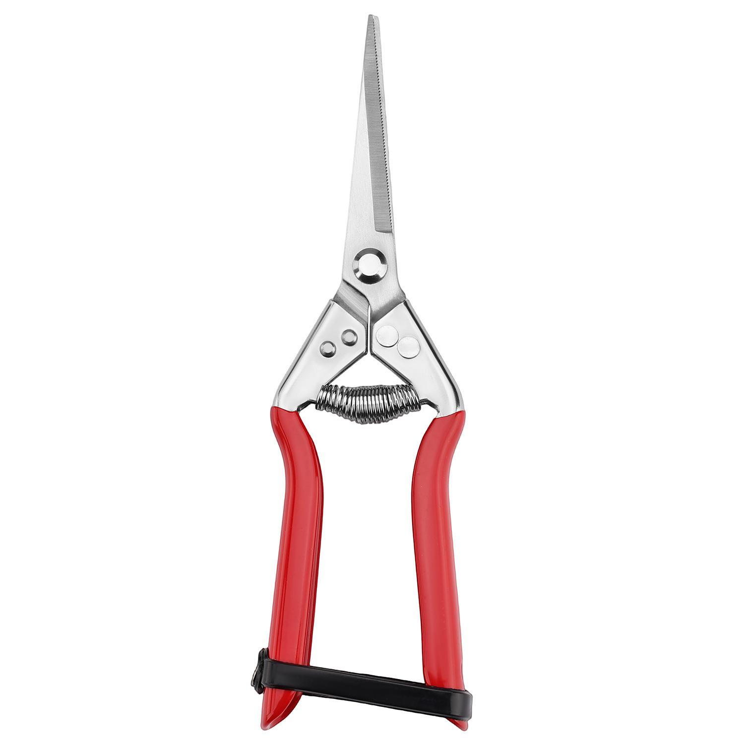 

Садовые секаторы из нержавеющей стали для обрезки сада, бонсай и фруктового сада