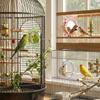 Wear-Resisting Bird Mirror Perch Spinning Puzzle Bird Flying Saucers  Bird Supplies