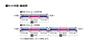 TOMIX N Gauge JR 485 1000 Serie Kamoka Set 98505 Eisenbahn Modellzug