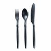 ARAS 3-Piece Cutlery Set, Dishwasher Safe, Made In Japan, Durable and Flavor-Friendly, Made with Tritan Plastic (Spoon, Fork, 21cm, Knife, 24cm, Black