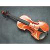 Carlo Giordano Viola Outfit VL-1 15.5 inch