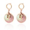 D Word Fritillary Earrings Stainless Steel Gold-Plated Round Pendant Niche Design Big-Name Wind Advanced Titanium Steel Earrings