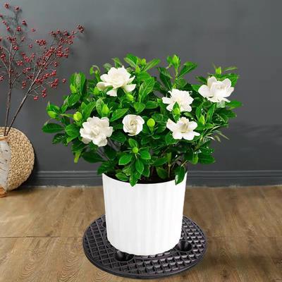 3er-Pack Pflanzen-Ebenen-Topf-Aufzüge, Blumentopf-Tablett, Pflanzgefäßständer, Terrassendeck-Bodenschutz, Blumentopf