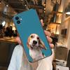 French Bulldog Dog Phone Cases For Iphone 13 Pro Max Case 12 11 Pro Max 8 PLUS 7PLUS 6S XR X XS 6 Mini Se Mobile Cell
