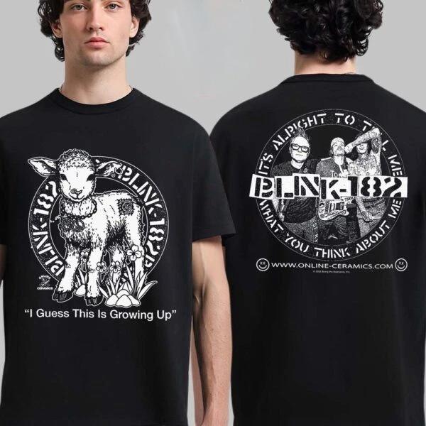 

Blink 182 I Guess This Is Growing Up Missionary Impossible Tour 2025 Merch Shirt Unisex T-Shirt L