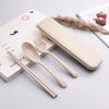 Tableware Set - Spoon, Chopstick, Fork with Storage Case and Goodie Bag, Children Day Gift, Wheat Straw