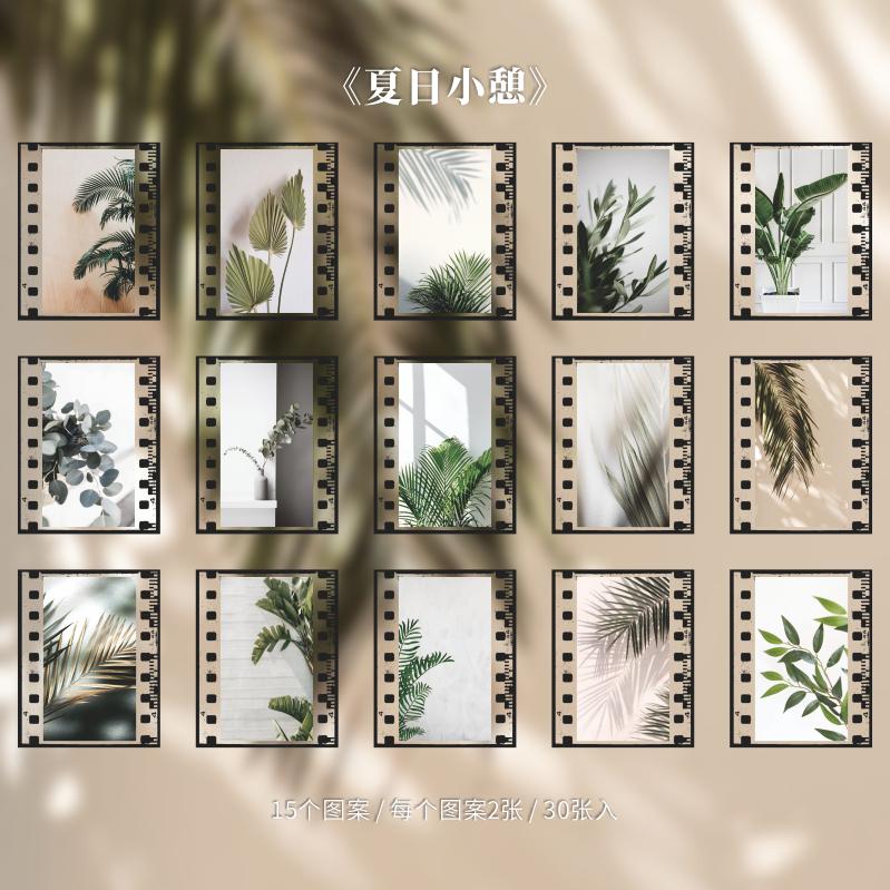 30 buc. PET INS Style Vintage Film Flori Scrapbooking Jurnal Etichete Decorative Autocolante Jurnal Papetarie Album Autocolante