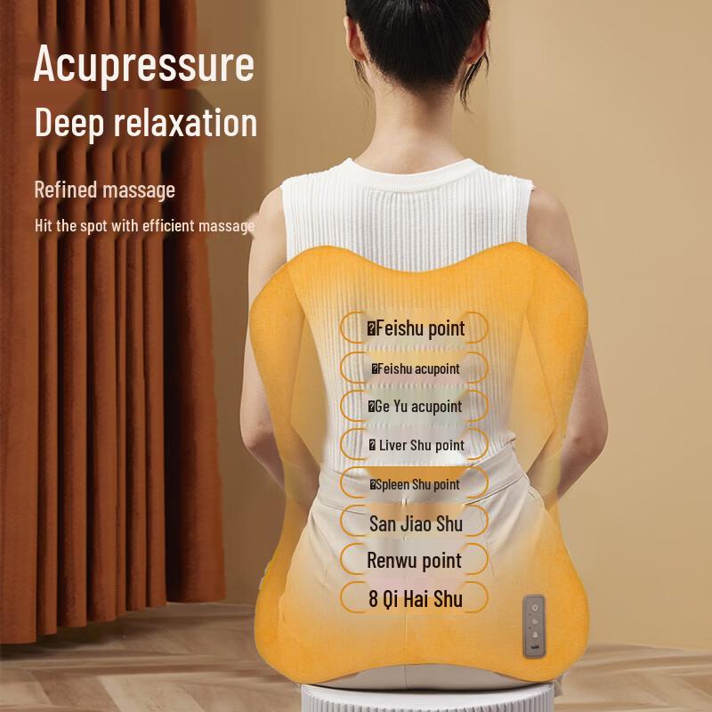 JianCheng R3 Lumbar & Back Massage Cushion CN plug (adapter included)