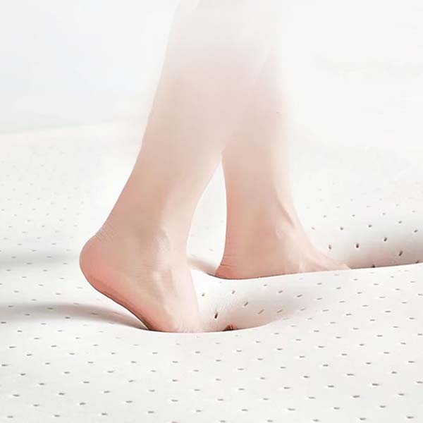 WTEMPO Soft Home Double-sided Bed Mattress Solid Color Thickened Single/Double Mattress Cushion Quilts Warm Winter Single Student Dormitory Mattress