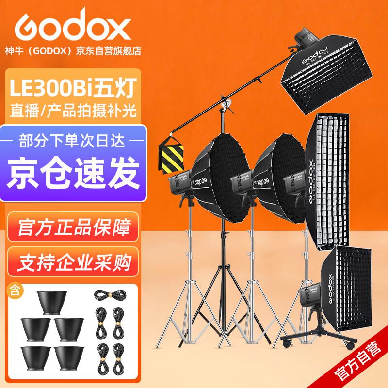 Godox LE200Bi / LE300Bi Bi-Color LED Video Light Kit