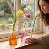 Handmade Hydroponic Glass Vase Transparent Flower Arrangement Vase Flower Holder  Living Room