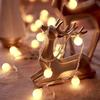 Warm White LED Ball String Lights
