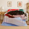 Kpop Bang Chan Stray Kids Musik Flanelldecke Weiche Warme Überwurfdecke für Schlafzimmer Wohnzimmer Bett Reise Camping Picknick Geschenk