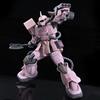 HG Zaku Desert Type Pink Panther Corps Plastic Model 1/144 Color-Coded