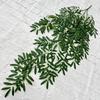 Olive Leaf Wall Hanging For Wedding Decor And Photography Backdrop