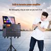 Sansui Q129 Portable All-in-One KTV Speaker System