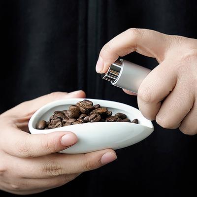 Przenośny Atomizer do Ziaren Kawy Nawilżacz Proszek Przeciw Muchom i Elektryczności Statycznej Mini Opryskiwacz Akcesoria do Młynka do Espresso