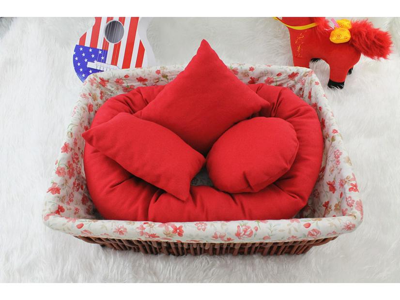 Colorful Baby Photo Styling Pillow - Children's Photography Prop