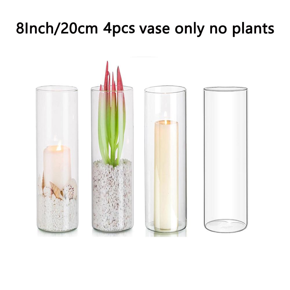 Glaszylinder-Vasen 4 6 8 Zoll hoch Klare Blumenvase Hurrikan Kerzenhalter für Tischdekoration Hochzeit Heimdeko