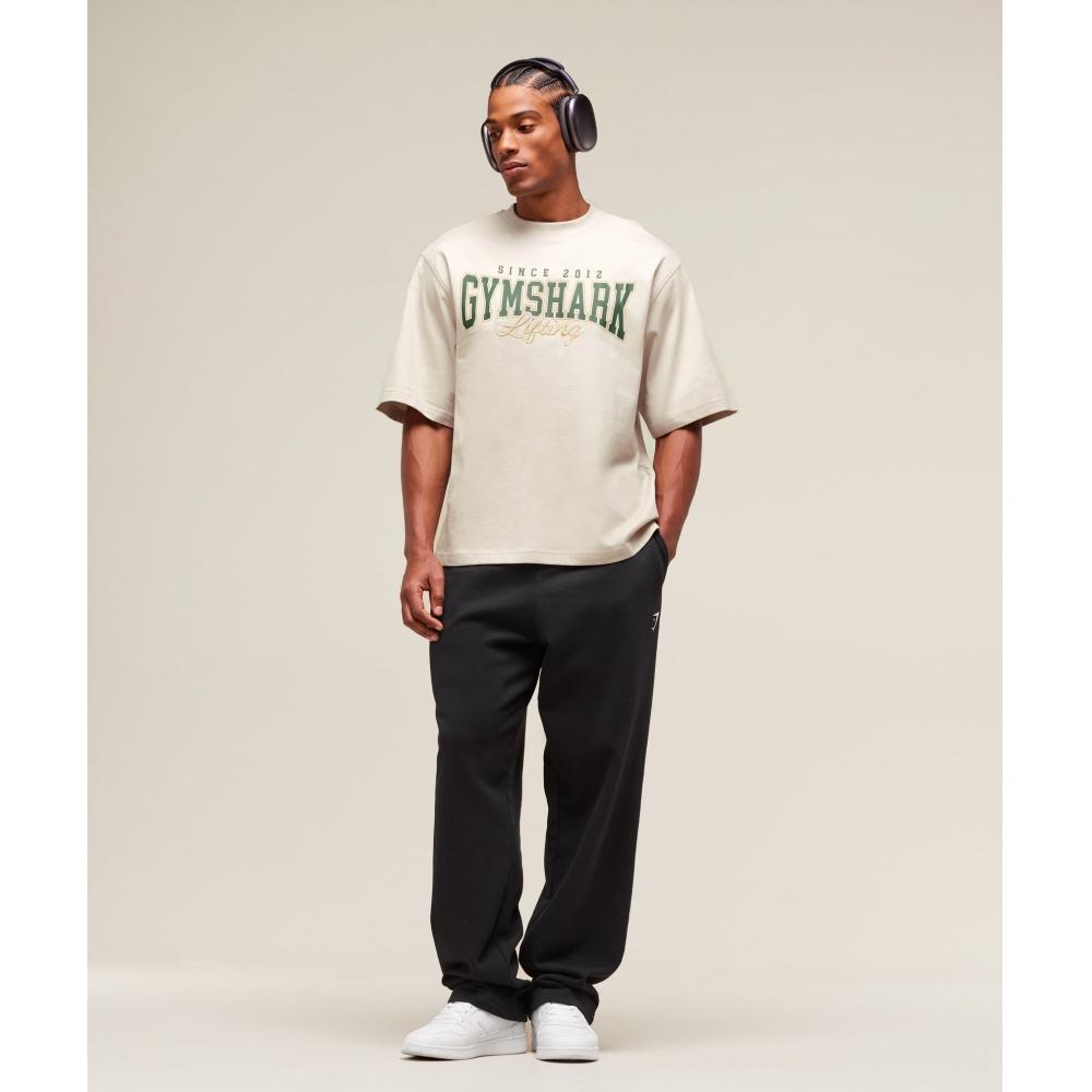 Gymshark LifTing EssenTials T shirT Pebble Grey A2b8f Gb7p