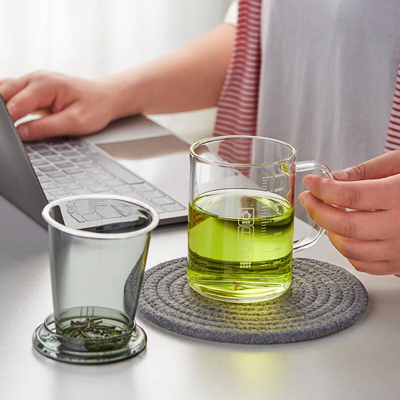 Meisni Borosilicate Glass Tea Infuser Cup