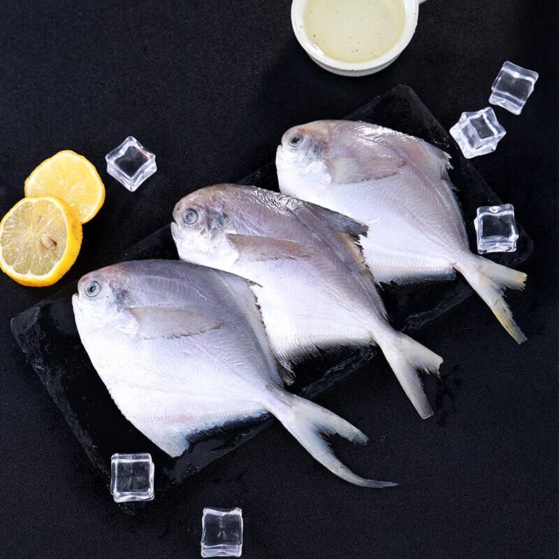 Xinglonggang Silver Pomfret