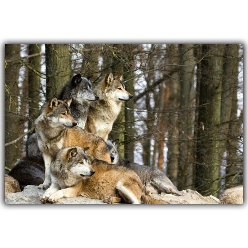 

Снежные горы, лесные волки, животные, пейзажный постер, художественный шелковый постер, украшение для дома, обои для гостиной 21x30cm No Frame