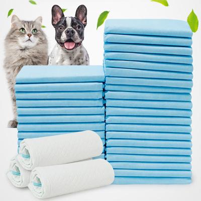 10 stuks Hondentraining Plasmatten Super Absorberend Puppy Hond Luiers Wegwerp Gezond Schoon Luiermat voor Huisdieren Zuivel Luier Benodigdheden