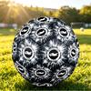 Brighton & Hove Albion FootballPrinted Size 5 Soccer Blbion Football, Anti Slip Adult Match Football Souvenir for Football Fans