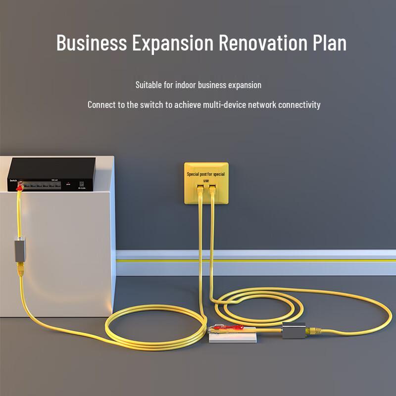 HAILE Cat6 Dual-Port Network Conversion Kit