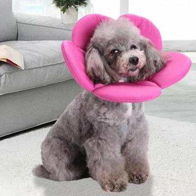 Köpek Tasması Çiçekli Ayarlanabilir Köpek Tasması Ameliyat Sonrası Köpek Tasması Küçük Orta Boy Köpekler ve Kediler İçin Sevimli Yengeç Fil Tasması