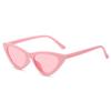 Vintage Triangle Cat's Eye Sunglasses Women's Brand Designer Fashion Sun Glasses Lady Outdoor Hip-hop Eyewear UV400