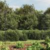 Vidaxl Wire Mesh Fence, Anthracite, 1.8X10 M